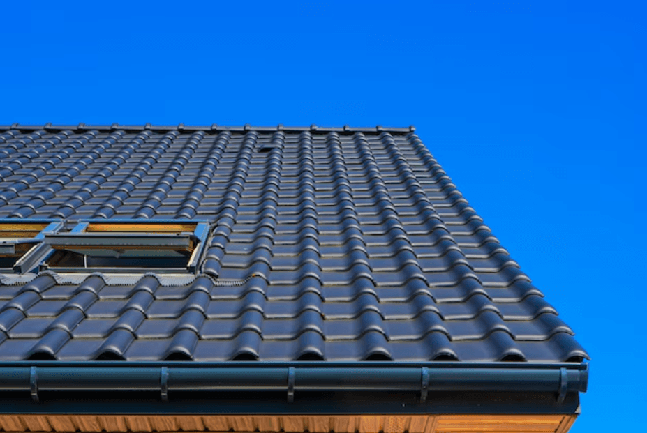 Fixed Pitched Roof Windows: Enhancing Style and Ventilation